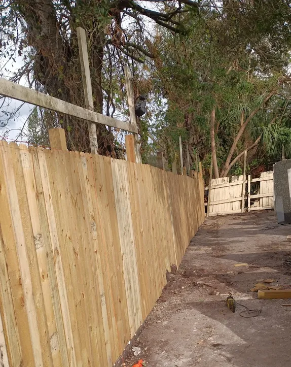 2025124 08 23 {{brizy_dc_image_alt imageSrc=